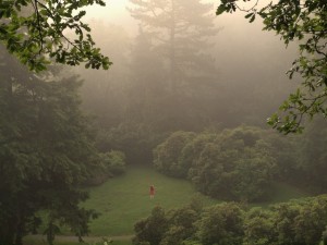 Über die Abwesenheit von Lärm 1